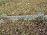 image of grave number 738072